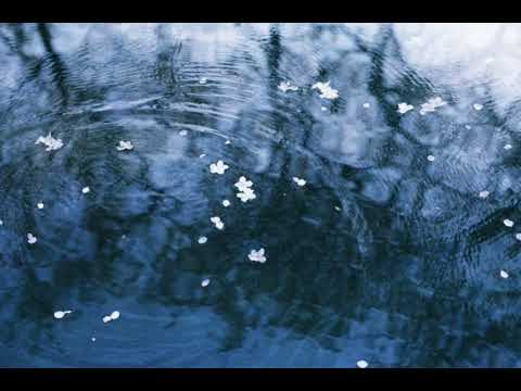 My bedroom is a sacred place now x mist - entris, shibíre