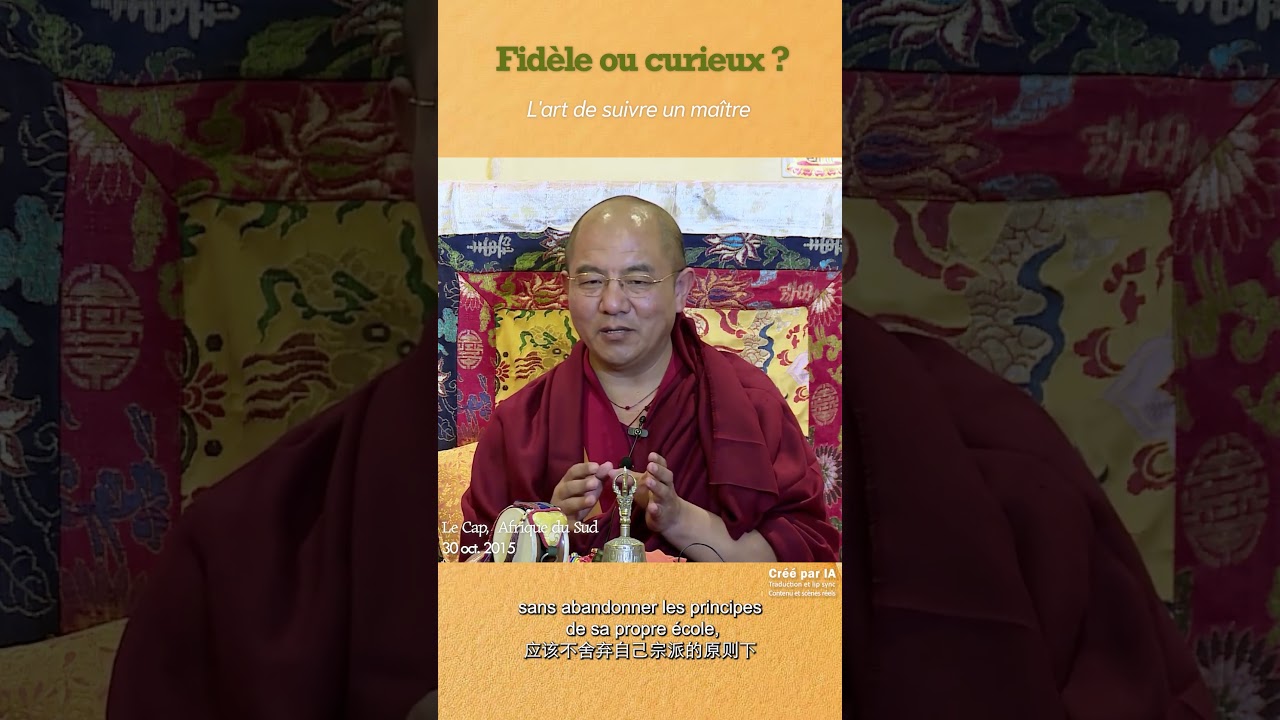 Débutants vs Pratiquants avancés : Comment étudier le Dharma ? | 初学者 vs 资深修行人：闻思修的策略有何不同？