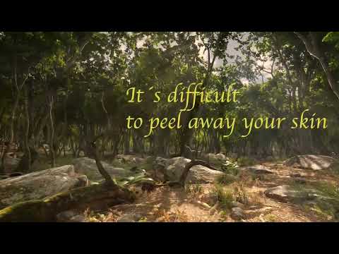 Play Video Youtube Video