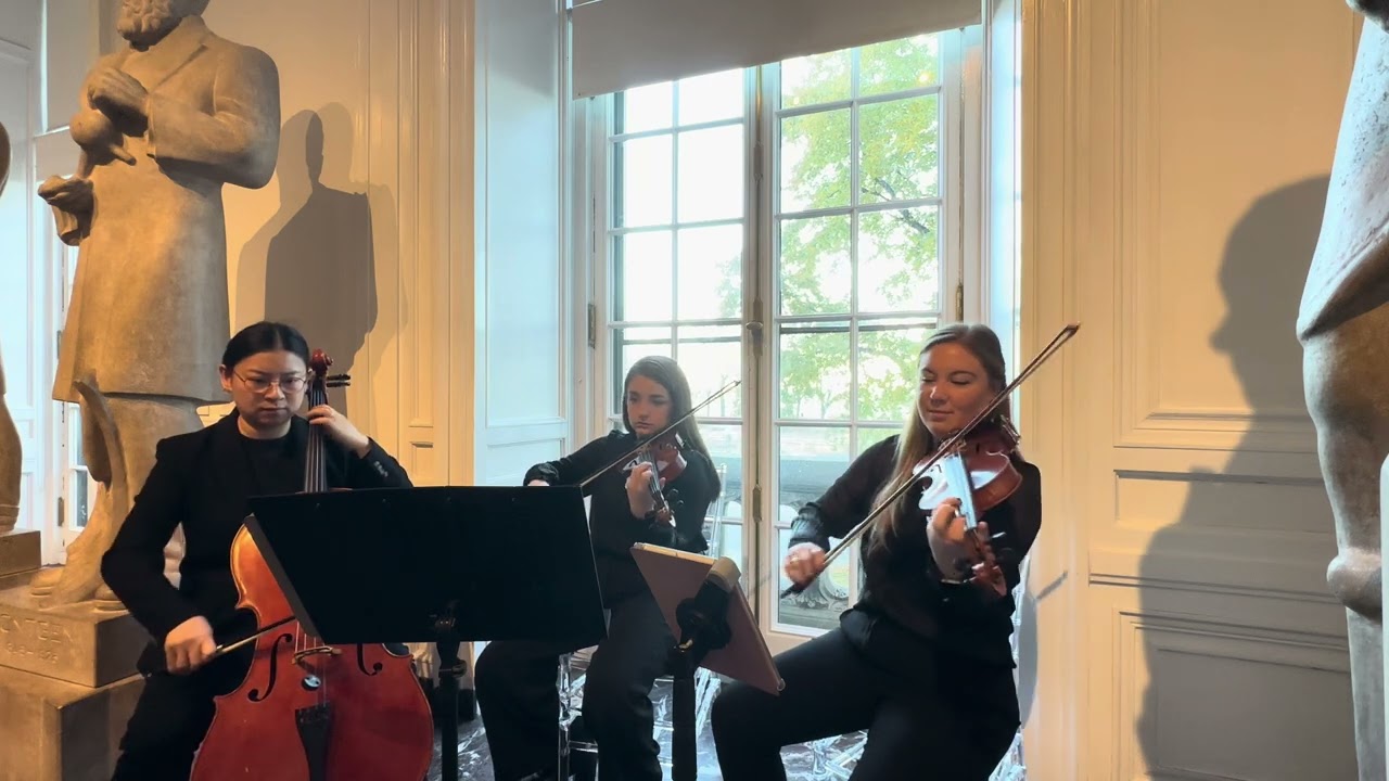 Promotional video thumbnail 8 for Piotrowski Strings
