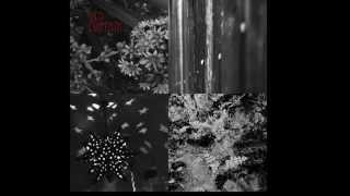 Red Curtain - Red Curtain EP