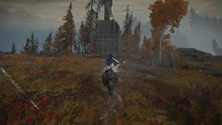 ELDEN RING_黒き刃はめポイント