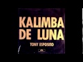 Tony Esposito - Kalimba de luna 12'' (1984 ...
