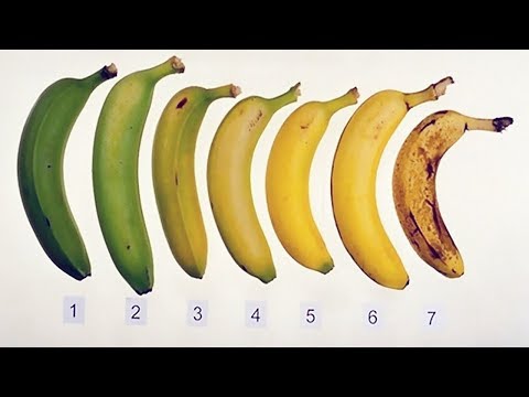 Kuko halamang-singaw paggamot remedyo katutubong Paghahanda para sa halamang-singaw