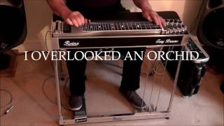 ROOMFULL OF ROSES / I OVERLOOKED AN ORCHID