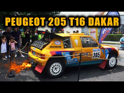 ENGINE LOOK, SOUND, WALK AROUND - Peugeot 205 T16 Turbo 16 Grand Raid Dakar Winner Rally Camel