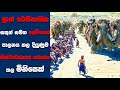 10 000 BC සිංහල Movie Review Ending Explained Sinhala Sinhala Movie Review