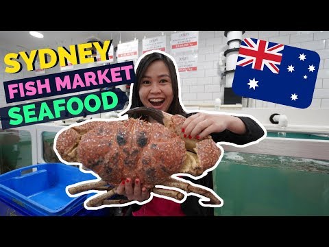 download lagu mp3 mp4 Frozen Seafood Wholesale Sydney, download lagu Frozen Seafood Wholesale Sydney gratis, unduh video klip Frozen Seafood Wholesale Sydney