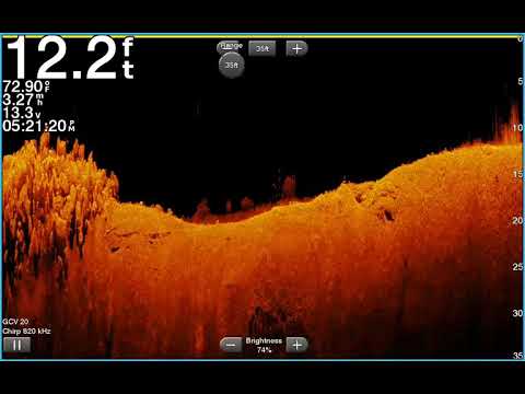 Garmin clear vu Gt 34