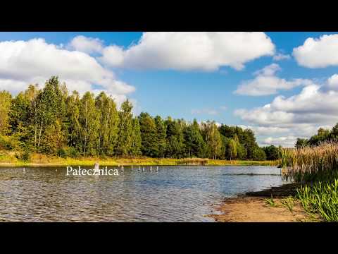 Zalew w Pałecznicy jesienią 🍁🍂
