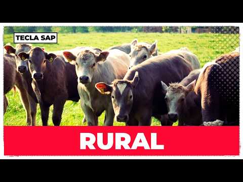 ❌ ERROS DE PRONÚNCIA 👉🏼 RURAL 🤦🏻‍♂️ #036