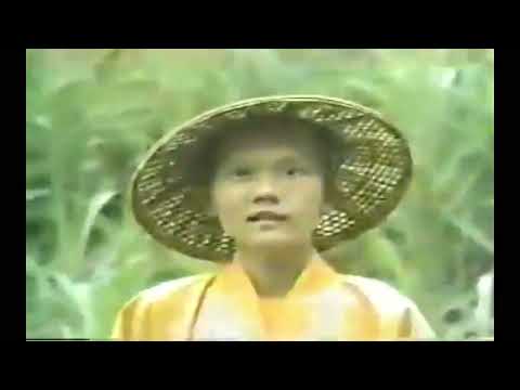 Lời pháp cam lồ 51 -52- nhân quả - nghiệp chướng - CHINGHAI