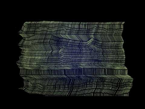 Chickens - Junip