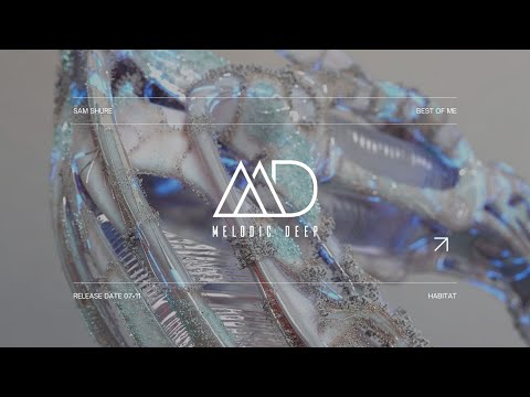 Sam Shure - The Best of Me (Original Mix) [HABITAT] | MELODIC TECHNO 2025
