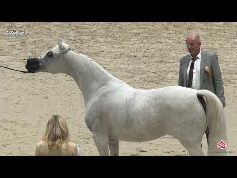 N 75 NOFT AL NAYFAT   Paris 2019   Senior Females Class 3B