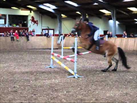 Opendag 'Stal de Wijk'