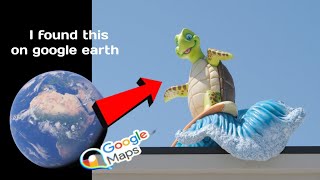 Funny turtle 🐢 sculpture found on google earth #googlemaps #googleearth