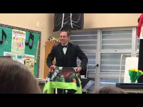 Vanishing Dove Cage Magic  non-tutorial