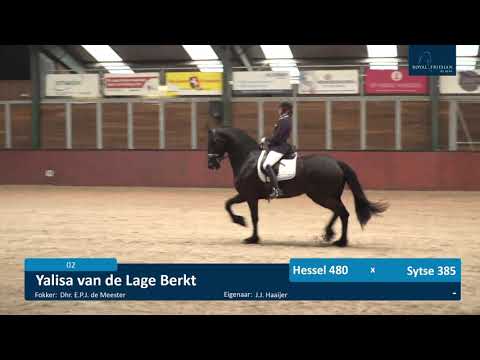 IBOP 16-6-2021 WB Stables Wergea