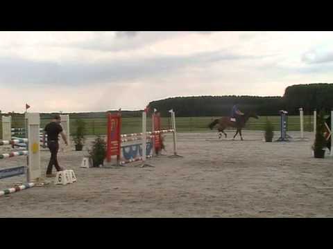 bugs bunny 7yr Padinus (v.heartbreaker) x Topas 1.20m course
