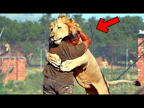 30 Animals That See Their Owners Again After Years! Most Emotional Moments 2023