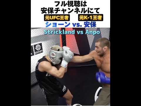 【元UFC王者 vs 元K-1王者】ショーン vs 安保 豪華スパー実現  Sean Strickland Vs Anpo Rukiya