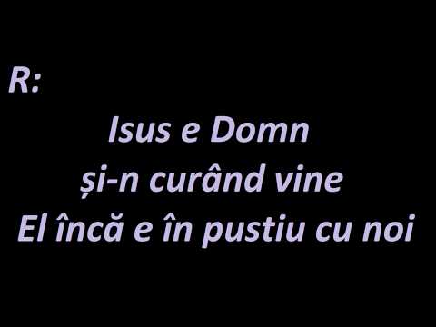 Biruitor în pustie - Negativ crestin cu versuri