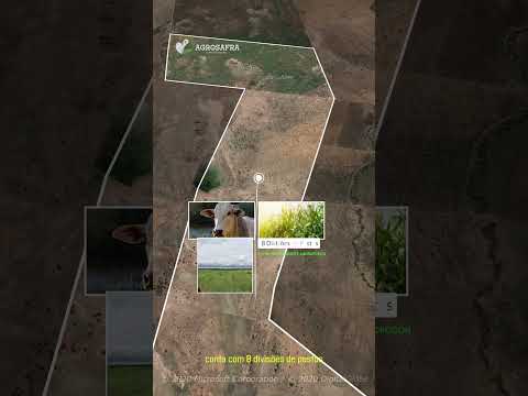 🌾 AGROSAFRA – OPORTUNIDADE DE INVESTIMENTO | Flores de Goiás – GO. #agro #fazenda