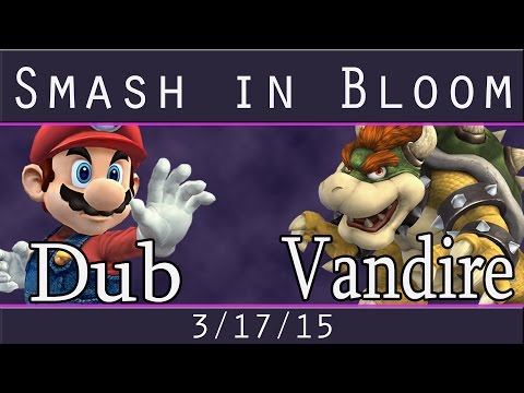 PM Bracket Smash in Bloom - Dub (Mario) vs Vandire (Bowser, Roy)