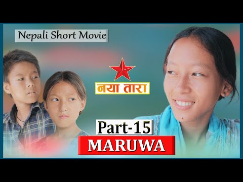 Maruwa episode 15 | मरुवा १५ | new nepali film 2080 by Naya tara