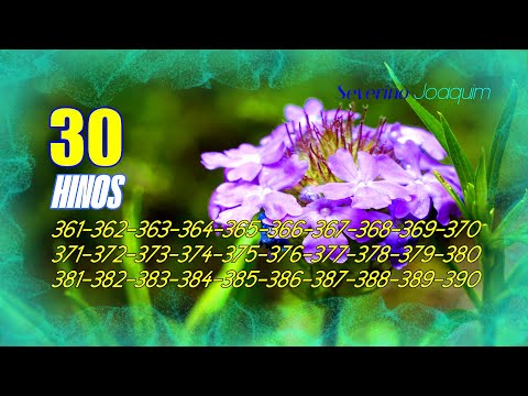 30 HINOS CCB 361-362-363-364-365-366-367-368-369-370-371-372-373-374-375-376-377-378--379-380...390