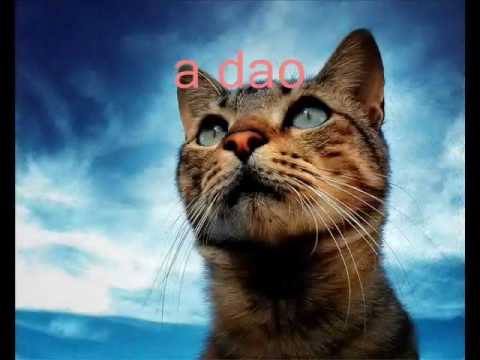 Amajlija - Ume biti gadno