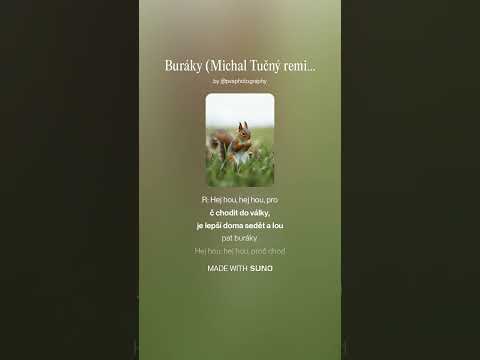 Buráky (Michal Tučný remix) #music #lyrics #song