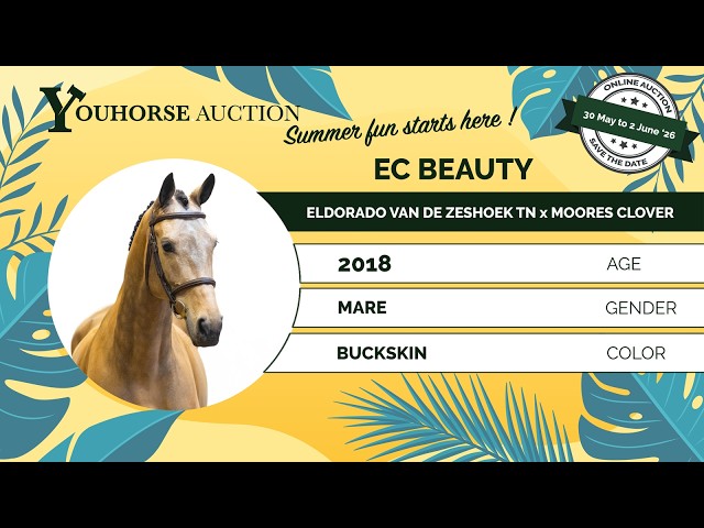 EC Beauty