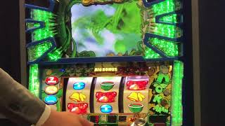 まめ（ベルコ）１ゲーム連チャンで･･･