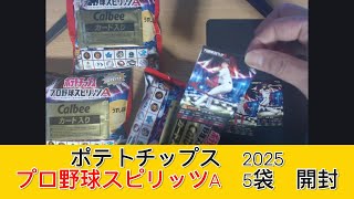 2025 カルビー プロ野球スピリッツＡ チップス 5袋　開封 - みづの廃信