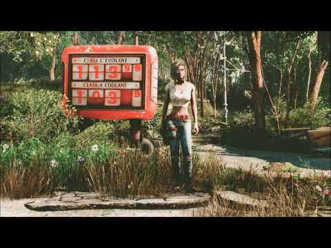 DMJ Remix -CBBE- at Fallout 4 Nexus - Mods and community