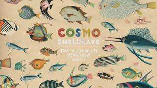 Cosmo Sheldrake - Hocking