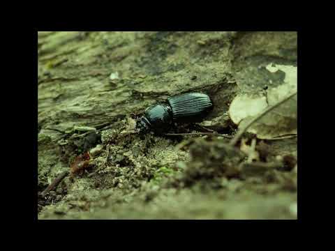 16 Dsloth - ĐỪNG NHƯ THẾ (Official Video)