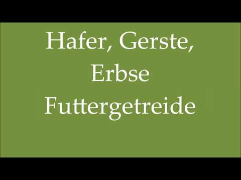 (15) Hafer Gerste Erbse Futtergetreide