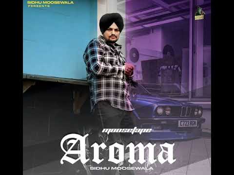 Aroma 2 / Sidhu Moose Wala AI / Baaghi