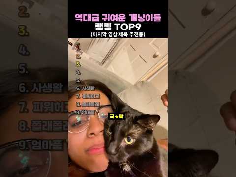 역대급 귀여운 개냥이들 TOP9