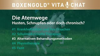Hausmittel bei Pferde-Husten: natürliche Schleimlöser und Mittel gegen Nasenausfluss | Boxengold