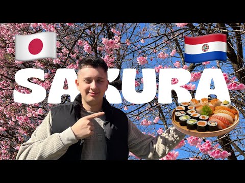 ¡No esperaba esto en Paraguay! 🌸 Flores sakura, comida oriental y cultura japonesa
