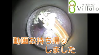 耳掃除動画vol.78「動画お持ち帰りしました」