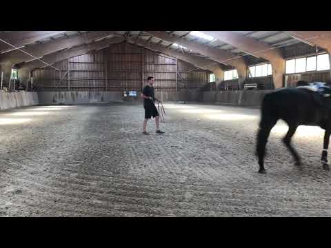 Faunus 07.2020 vor Abholung bei Nicole Hofmann Video 1 - IMG 1296