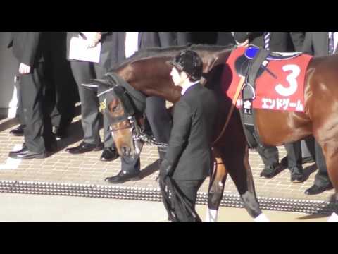 2016 第33回 ホープフルステークス(ＧＩＩ) パドック 現地映像 レイデオロ
