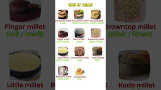 Download lagu Types Of MILLETS in English and Hindi #millet #momentmagic mp3 Download lagu Types Of MILLETS in English and Hindi #millet #momentmagic mp3
