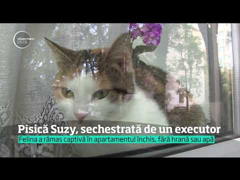 8feb209ac42fb96c938c9f246f6926e3a22c134f2a927cc3c5526408f1b7fb43_720p-wide.mp4