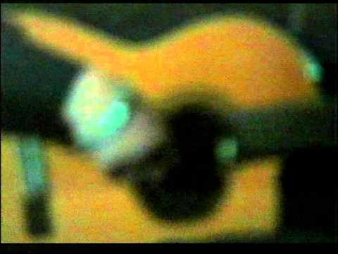 Armen Movsisyan-Manchs